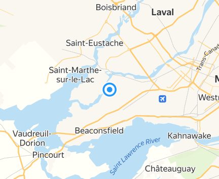Camille Fleuriste Montréal