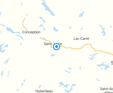 Souris Mini Mont-Tremblant